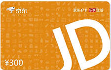 赠送京东E卡300元